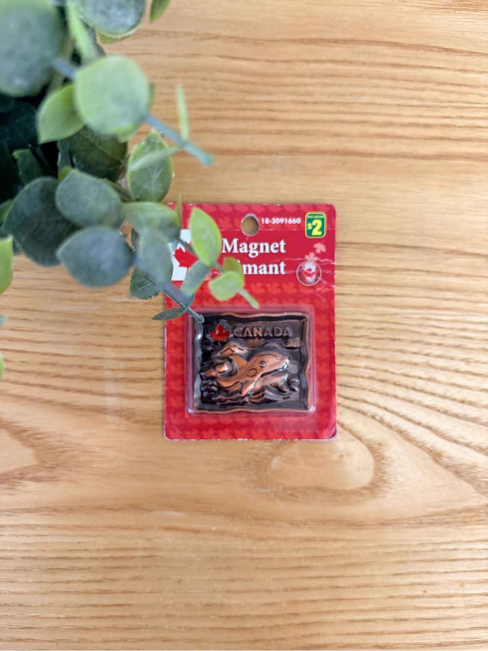 🌿10/$25 • Canada Whale Souvenir Magnet - Red and Black